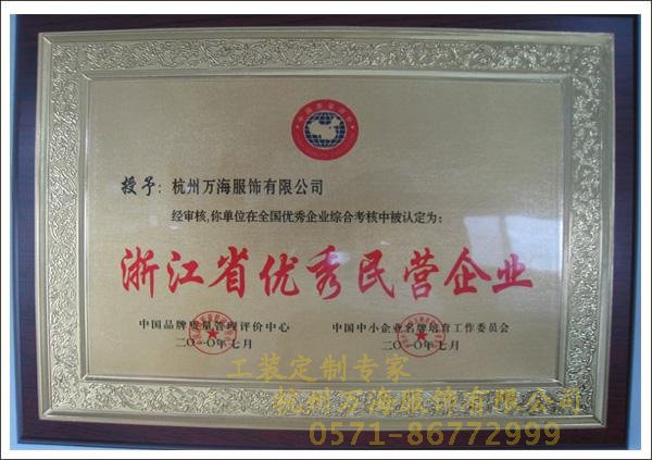 浙江省優(yōu)秀民營(yíng)企業(yè)